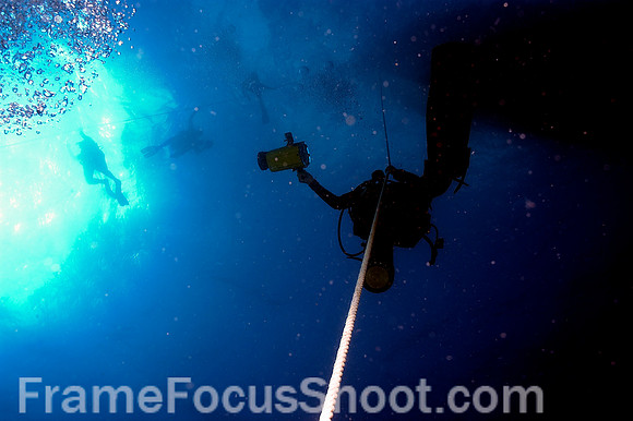 BVI diver on line