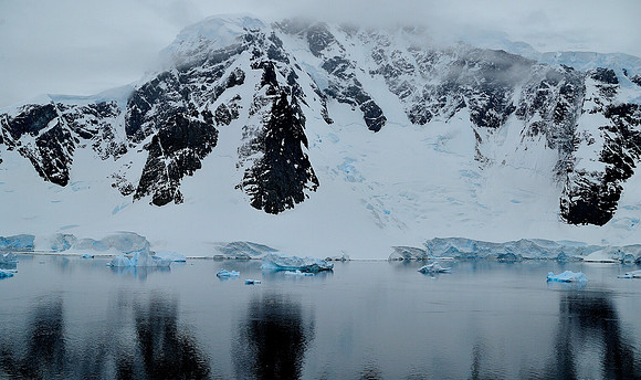 lemaire's cove.