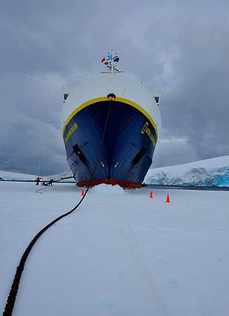 Explorer on the ice.