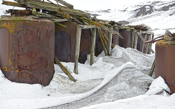 Rendering tanks for whale blubber, Whalers bay.