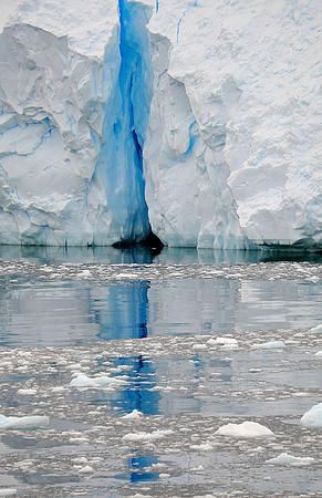Ice falt, Cierva cove.