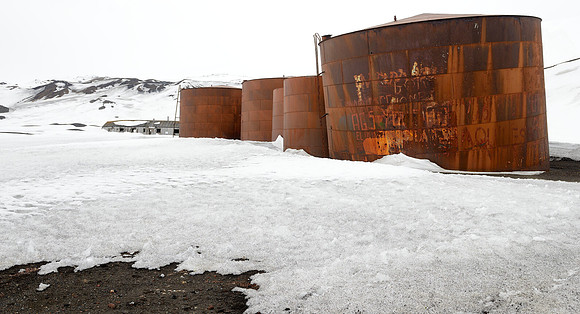 Abandoned whale oil storage tanks , Whalers bay .