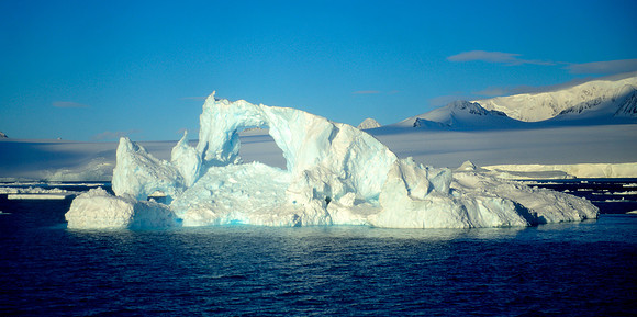 Floating iceberg, Cierva cove.