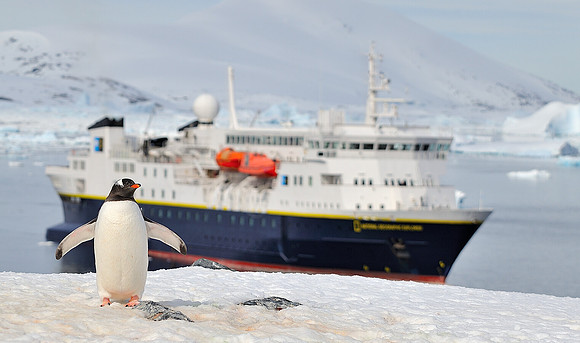 Gentoo and National Geographic Explorer.