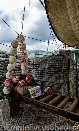 Stone crab traps--end of season