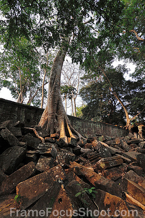 Over taken by nature