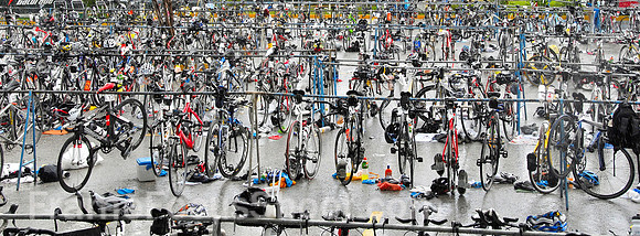 The bike coral