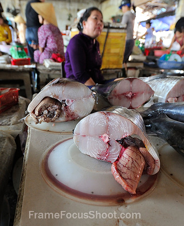 Fresh fish !