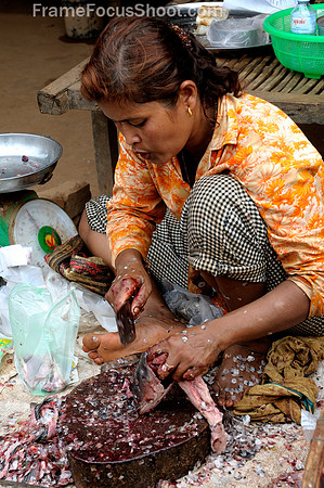 Cambodian fish vender.