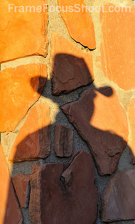 Shadow