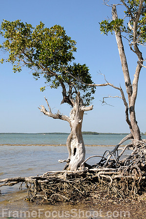 Everglads island