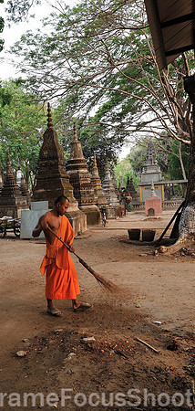 Temple sweeper