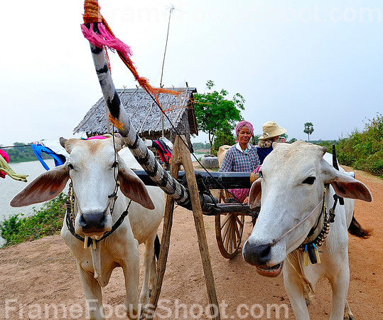 Cambodian transport