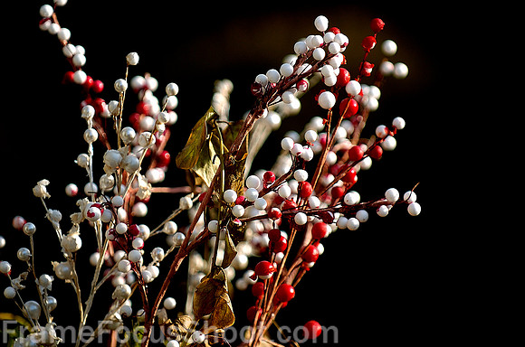 Berries