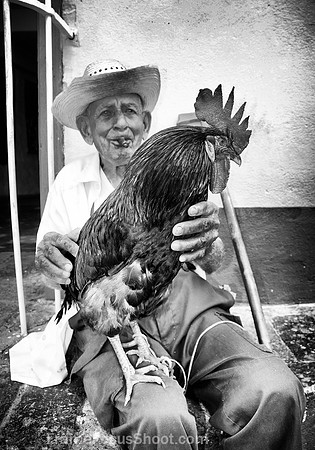 Love my rooster .