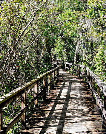Along the path - Corkscrew sancuary