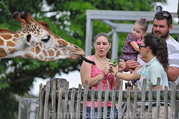 OOOOO--What a tounge.