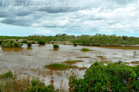 Marsh trial - Route 41 - Florida