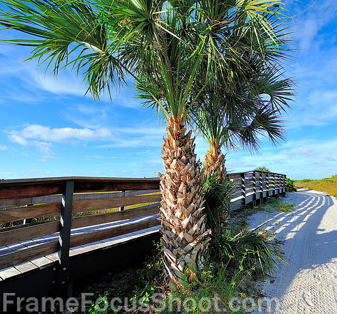 Tiger tail beach - Marco Island FL