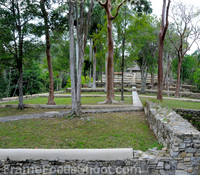Coffee plantation - Cuba