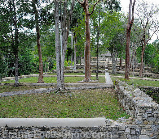 Coffee plantation - Cuba