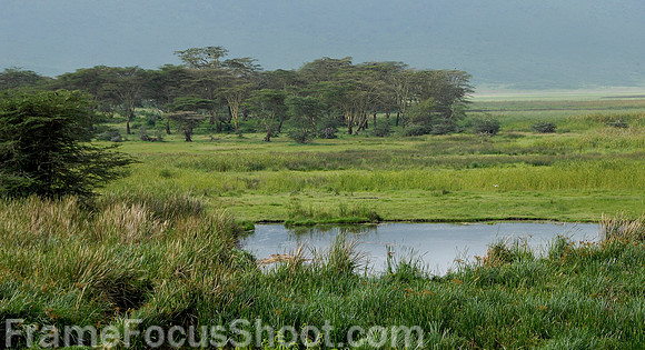 Ngorongoro Crater -Tanzina