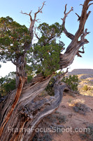 Ghost ranch - Santa Fe NM 2