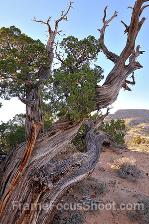 Ghost ranch - Santa Fe NM 2