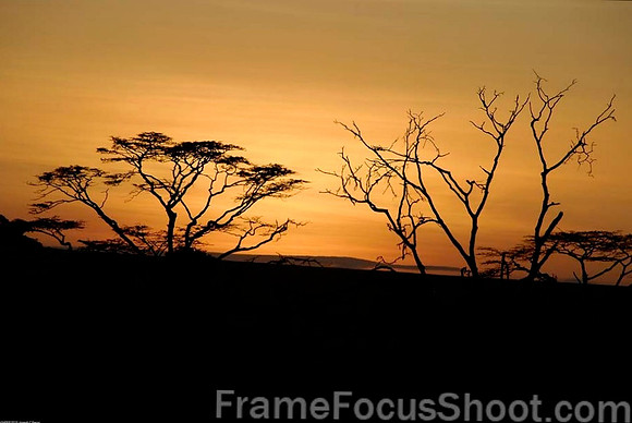African sunset -Tanzania