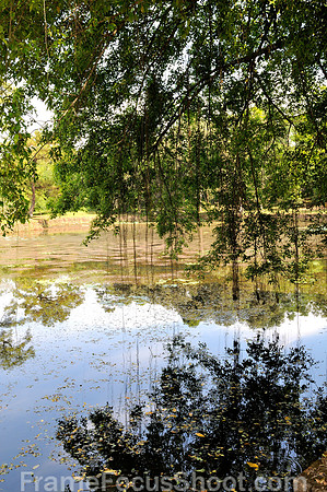 Refelections - Vietnamese park 3