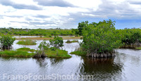 Marsh trial - Route 41 Florida 2
