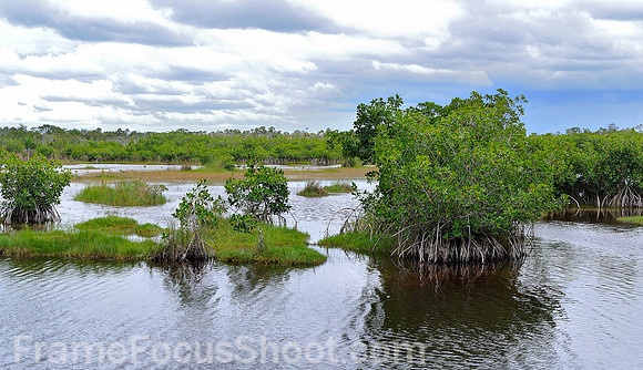 Marsh trial - Route 41 Florida 2