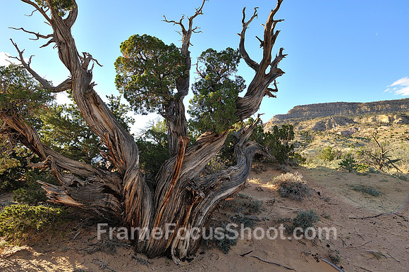 Ghost ranch - Santa Fe NM
