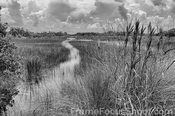 Everglades view - Everglade city FL