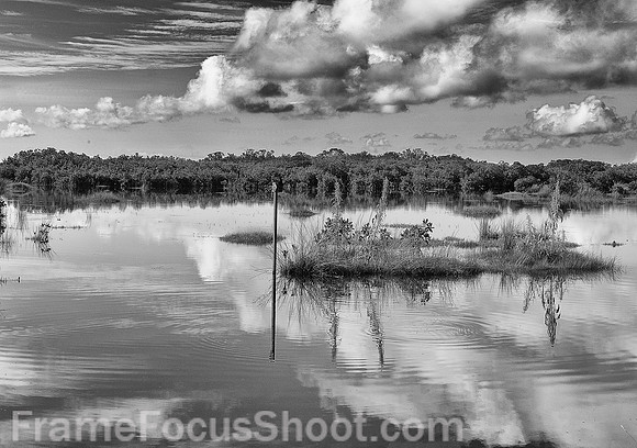 Along route 41 Florida