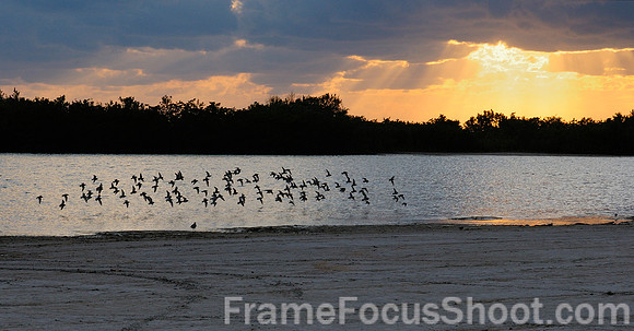 Sunset Tiger tail beach - Marco Island Florida