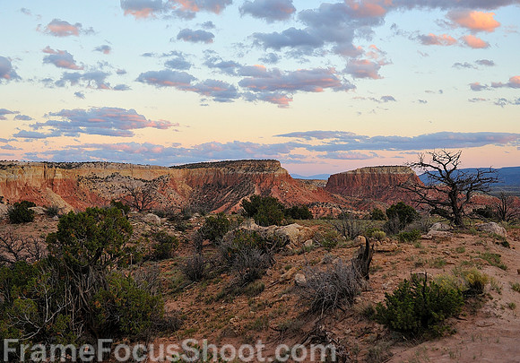 Along the trail Ghost ranch - Santa Fe NM