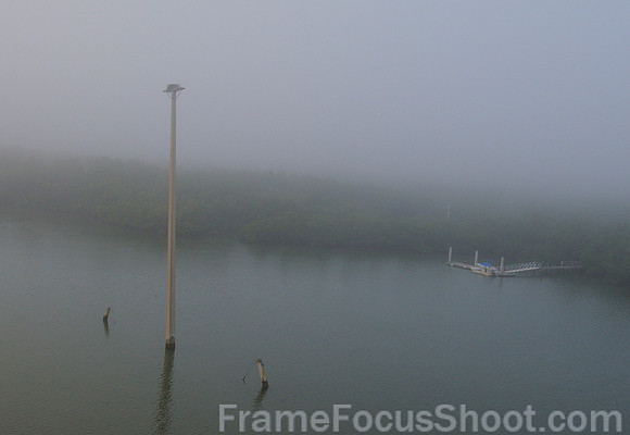 Foggy view from Goodland bridge.