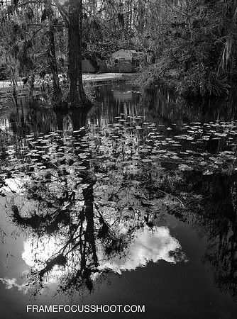 CLYDE POND .