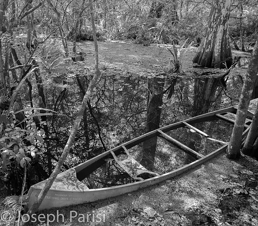 Old canoe in the swamp....