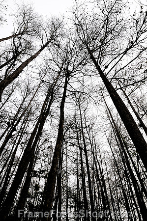 Looking up at Corkscrew sanctuary.