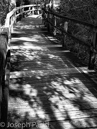 Corkscrew board walk.