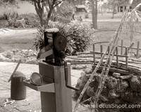 Sugar cane press