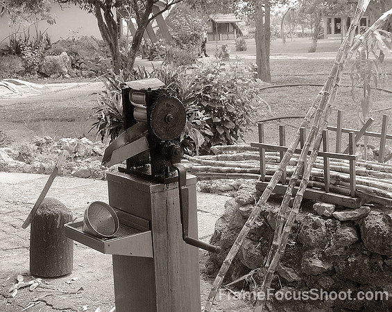 Sugar cane press