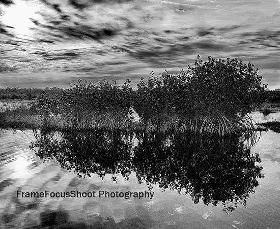 Marsh Trail.