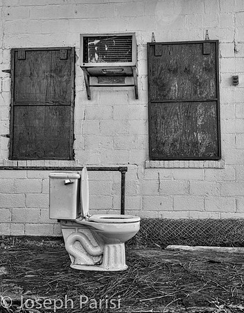 The throne.....Everglades... SWF