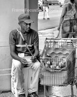 Apple Vendor