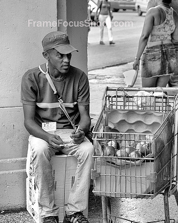 Apple Vendor