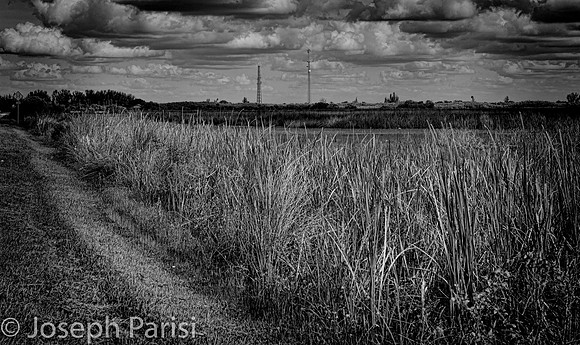 41 landscapebe... SWF