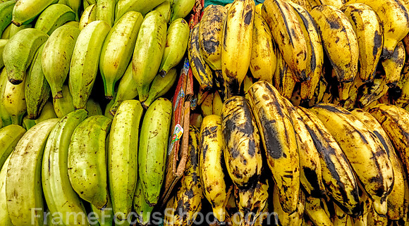 Bannanas.